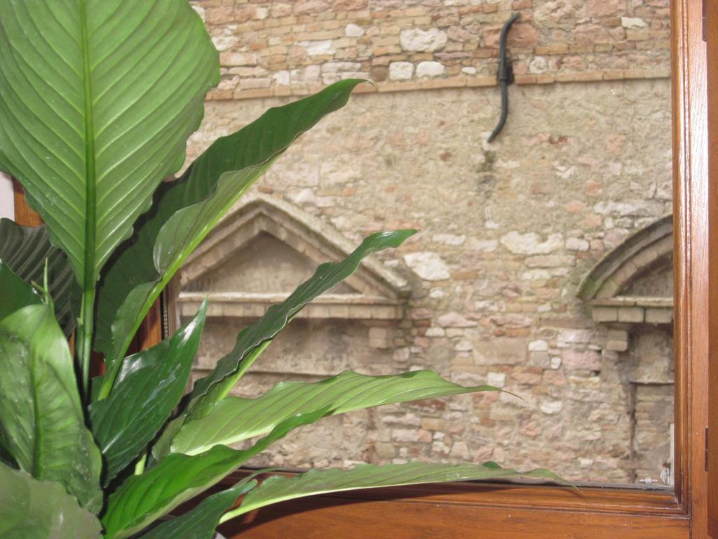 Helios Assisi Hotell Rom bilde